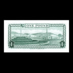 Isle of Man 1983 1 Pound Tyvek Elizabeth II Banknote