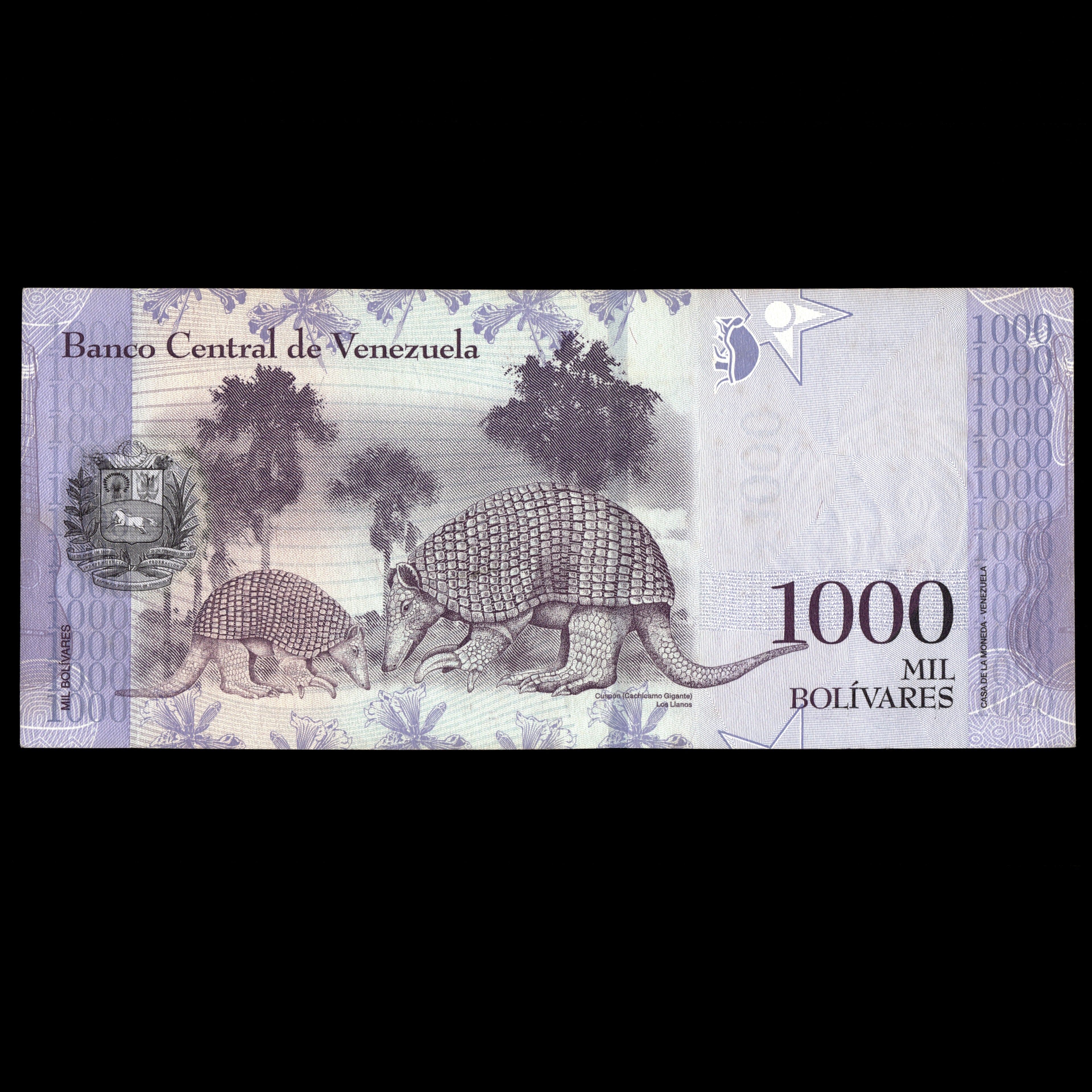 Wenezuela 2016 1000 boliwarów Banknot zastępczy