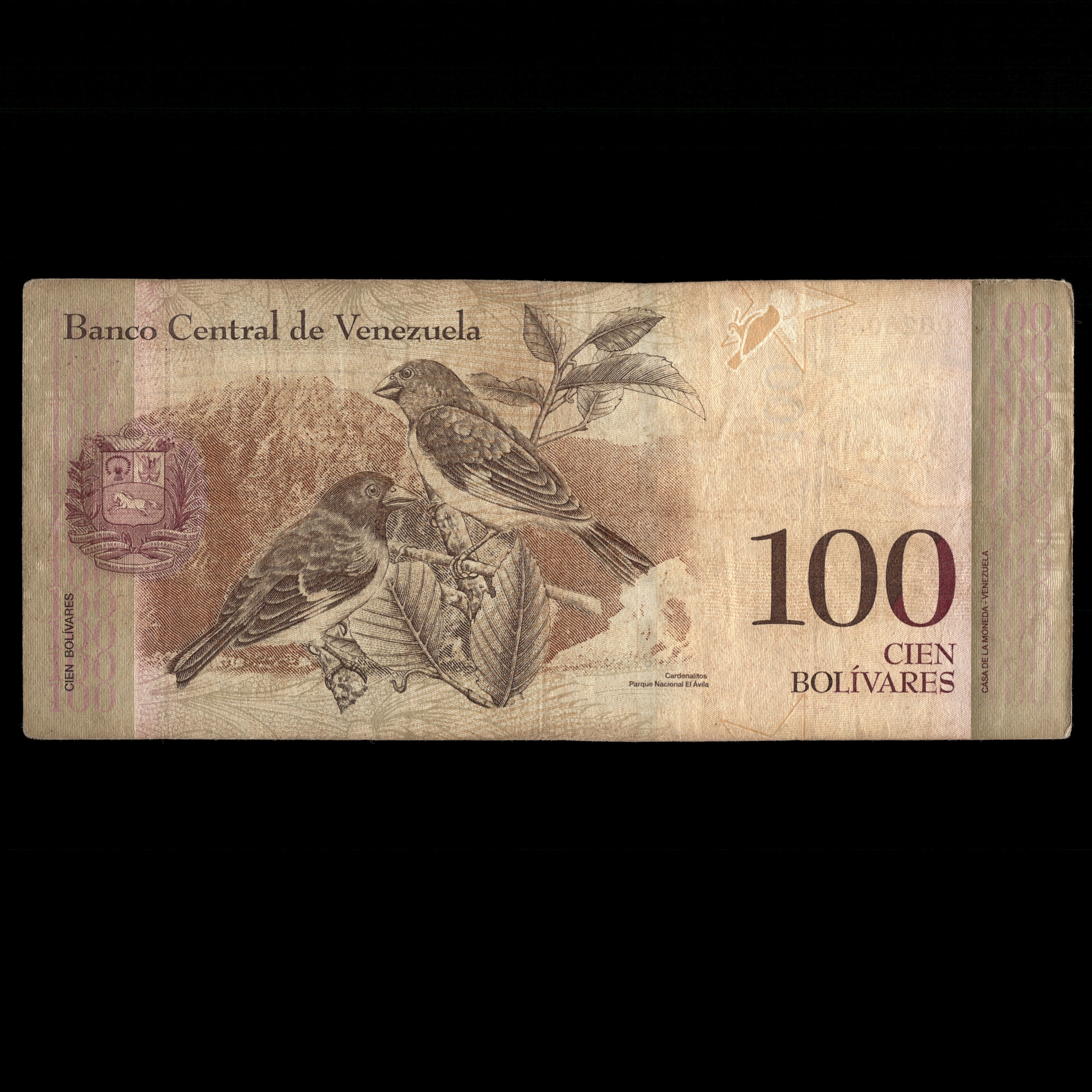Wenezuela 2007 100 boliwarów Banknot zastępczy